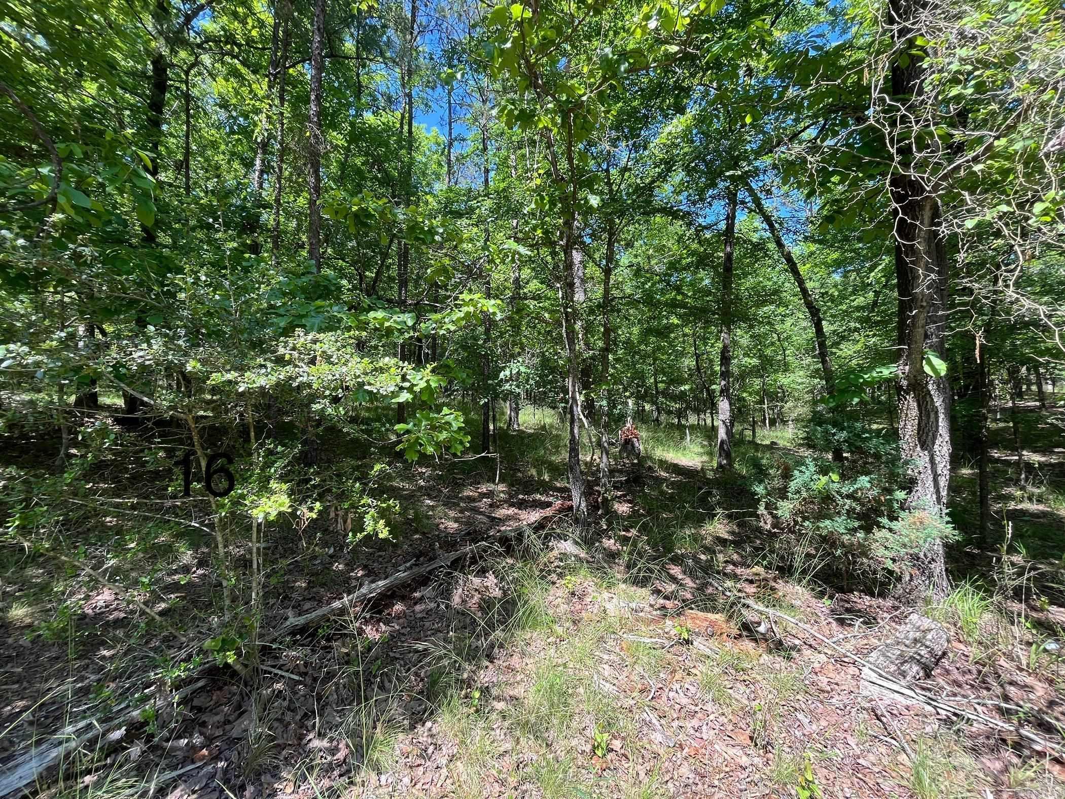 LOT 16 Waterview Drive