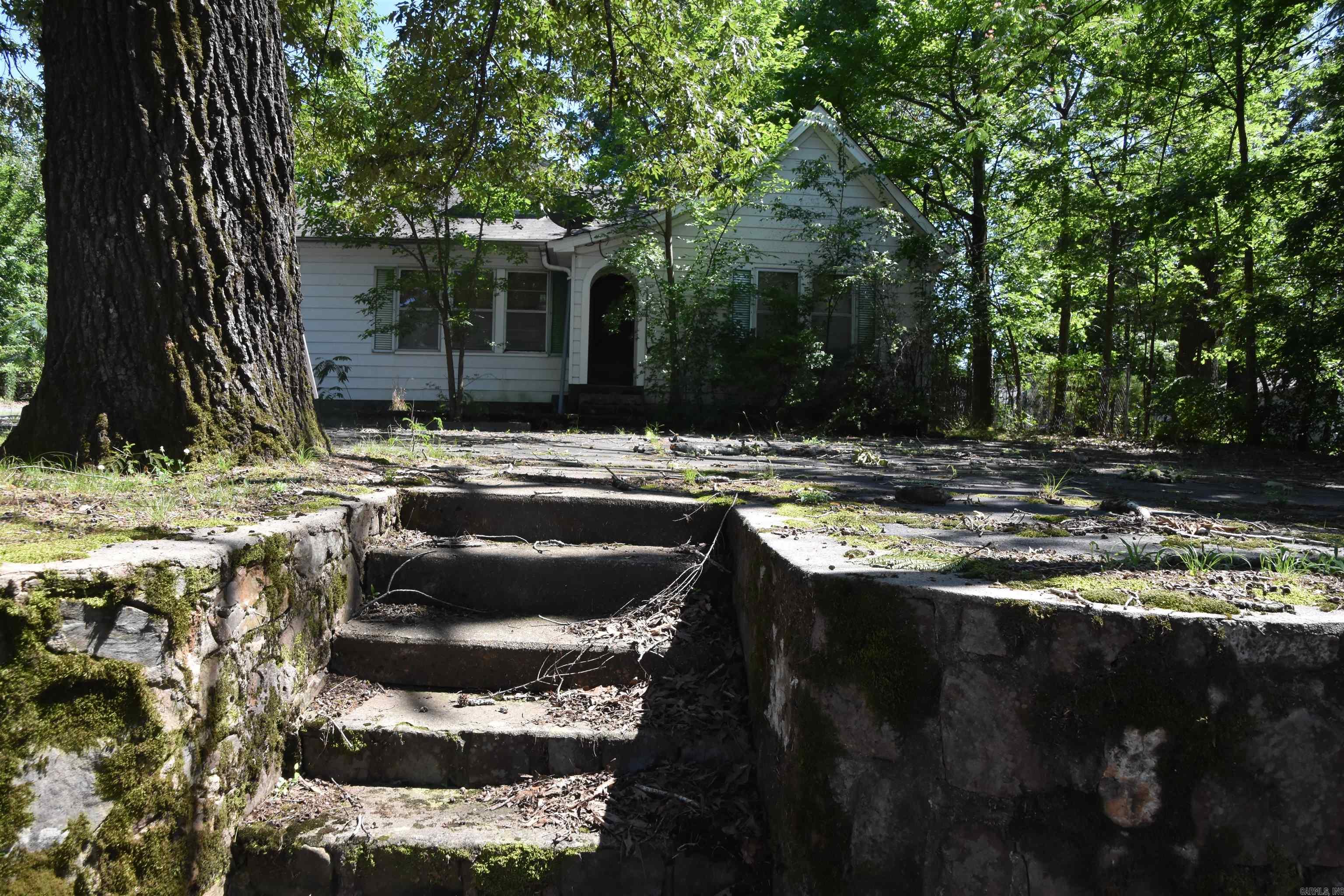 237 Alpine Street