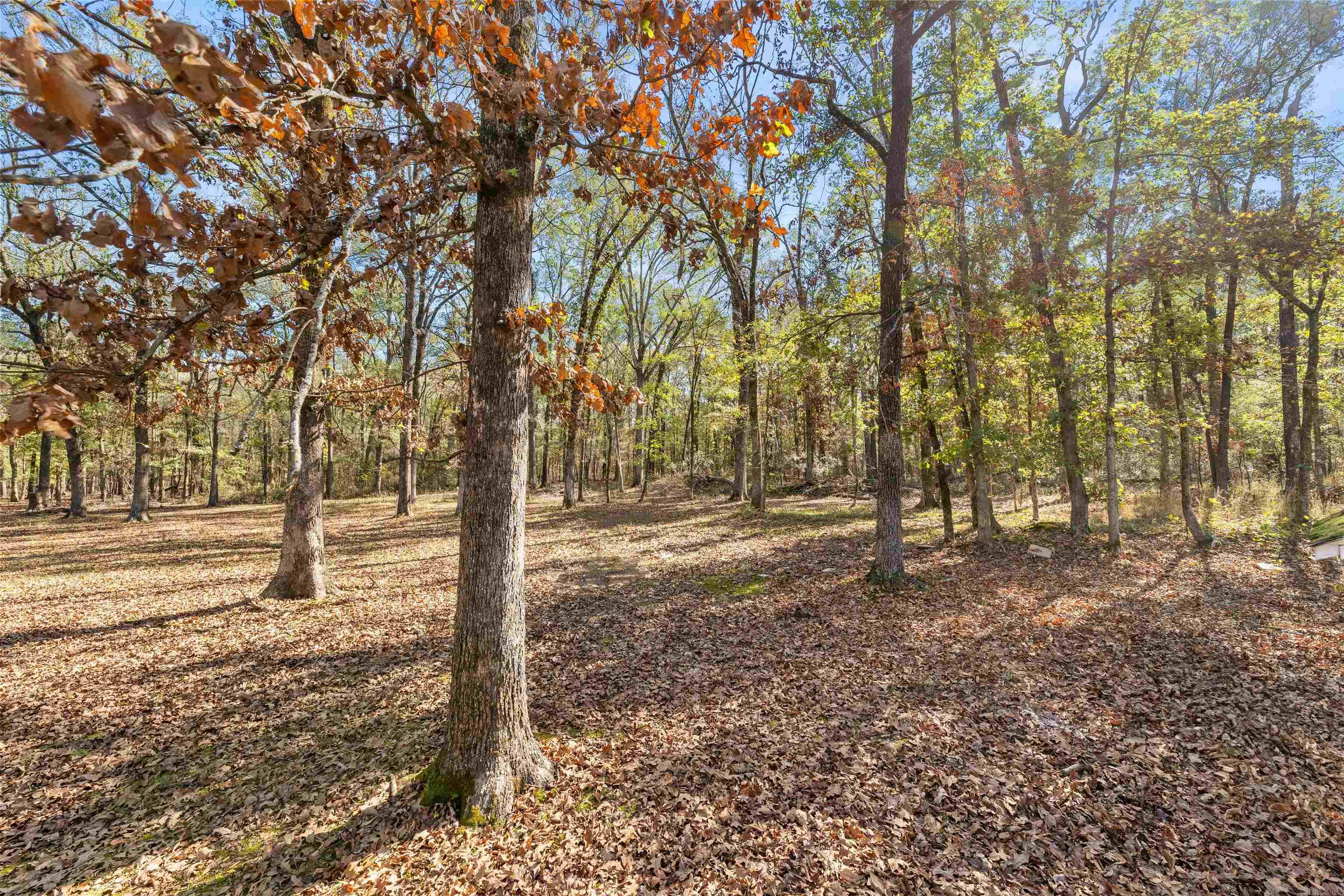 1909 W Republican Rd