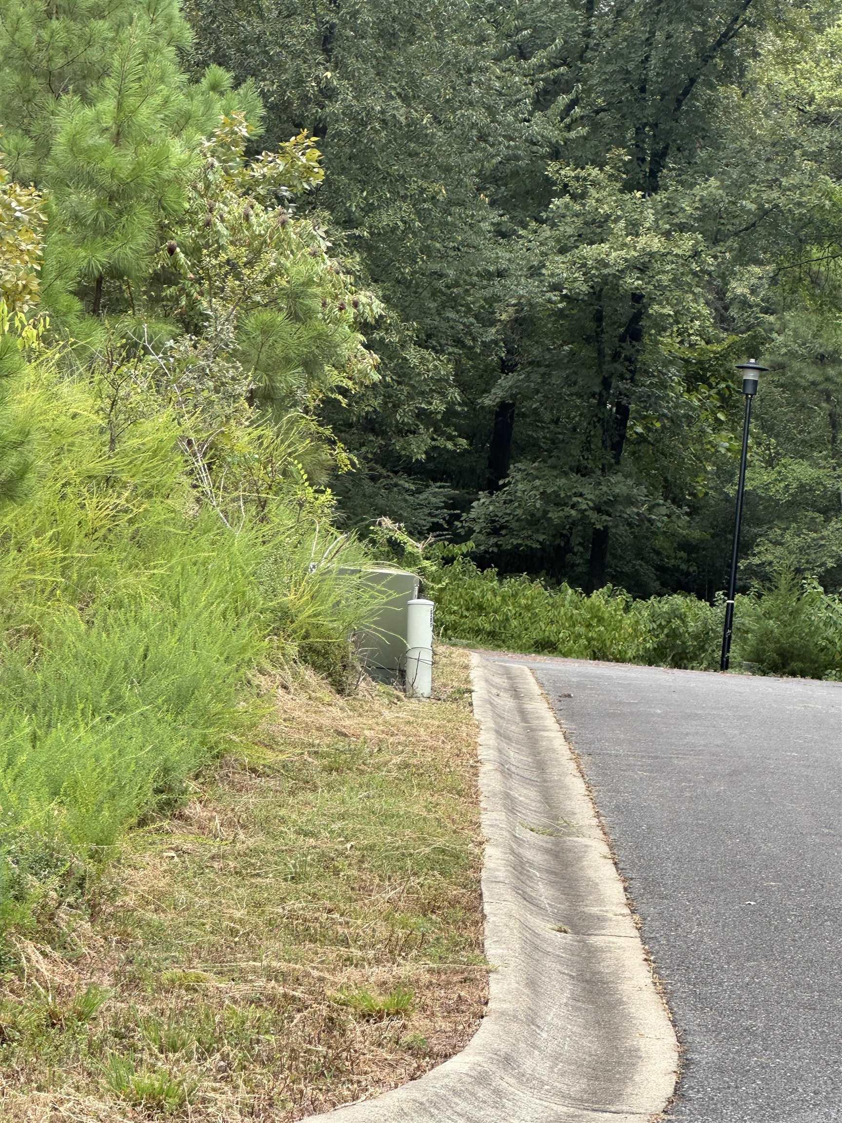 TBD Buena Vista Road