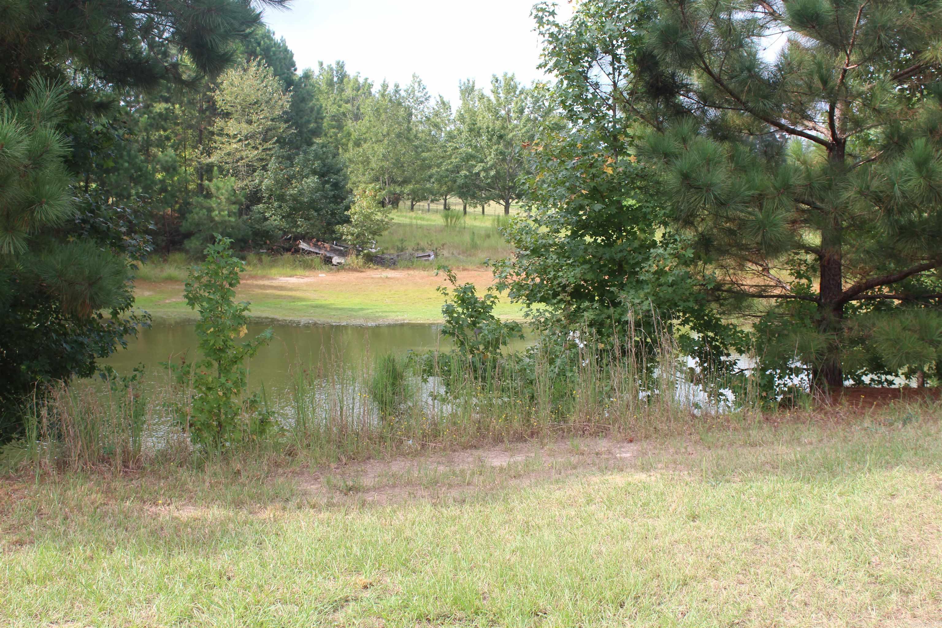3296 hwy 278 E