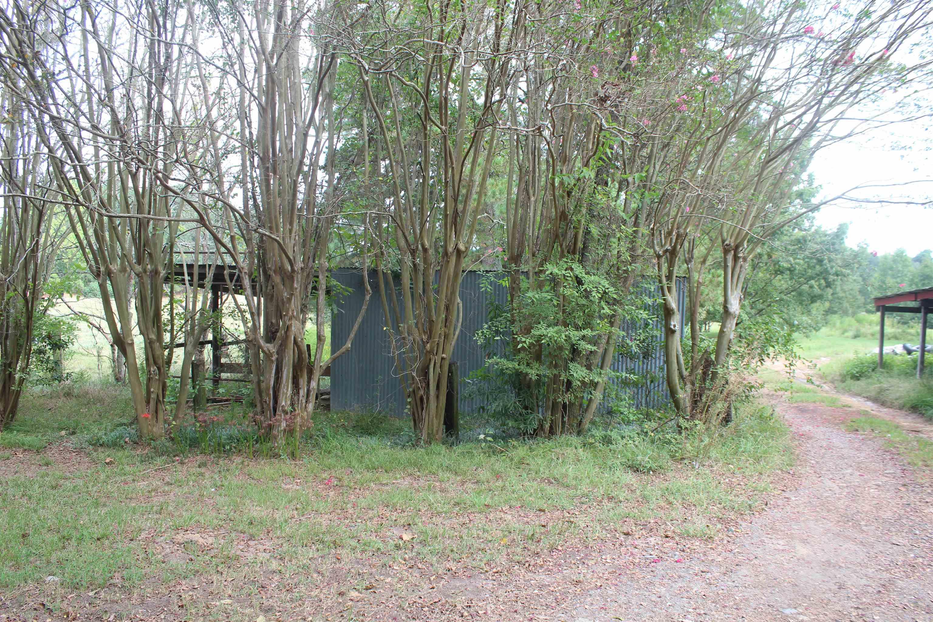 3296 hwy 278 E