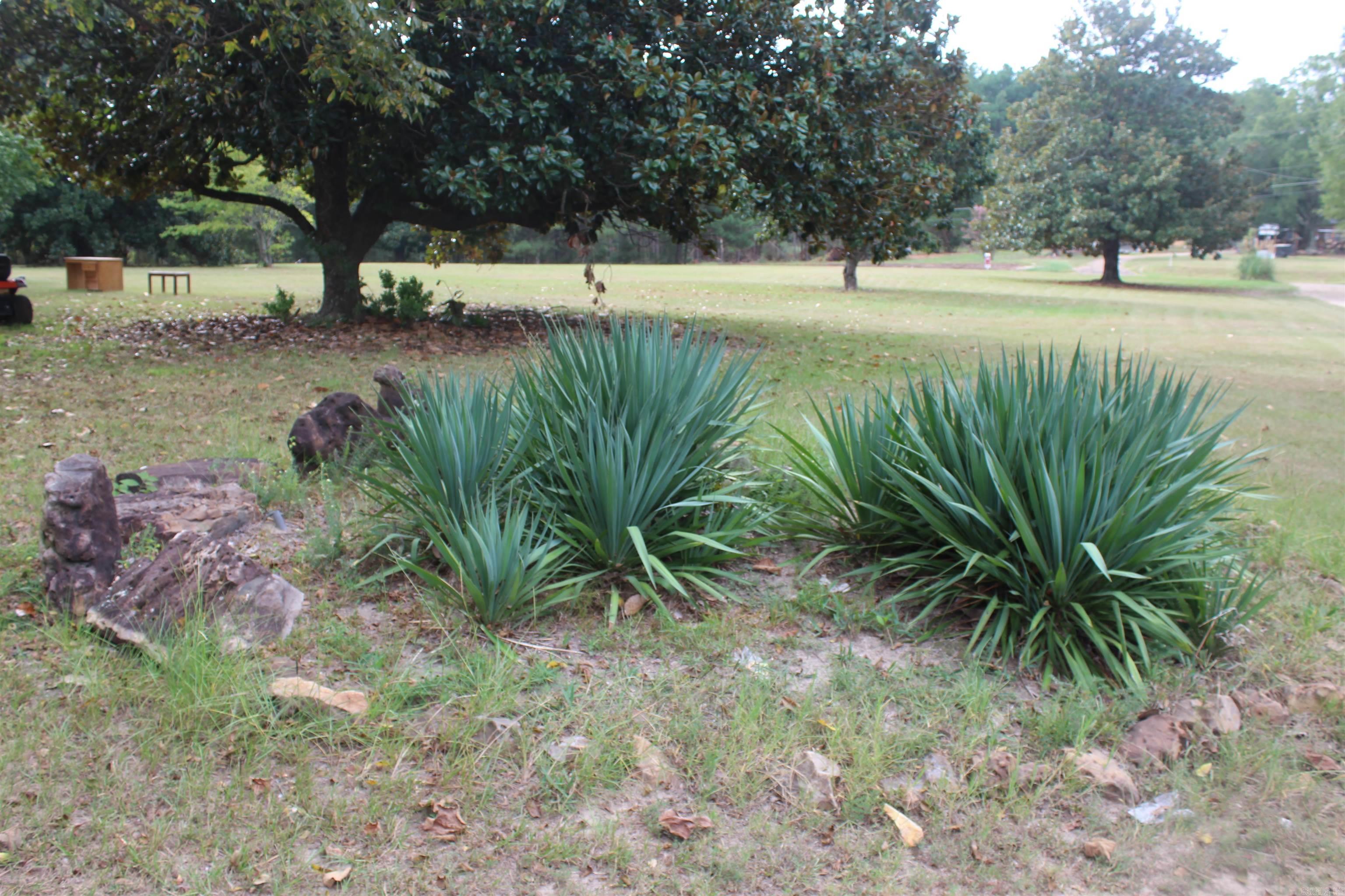 3296 hwy 278 E