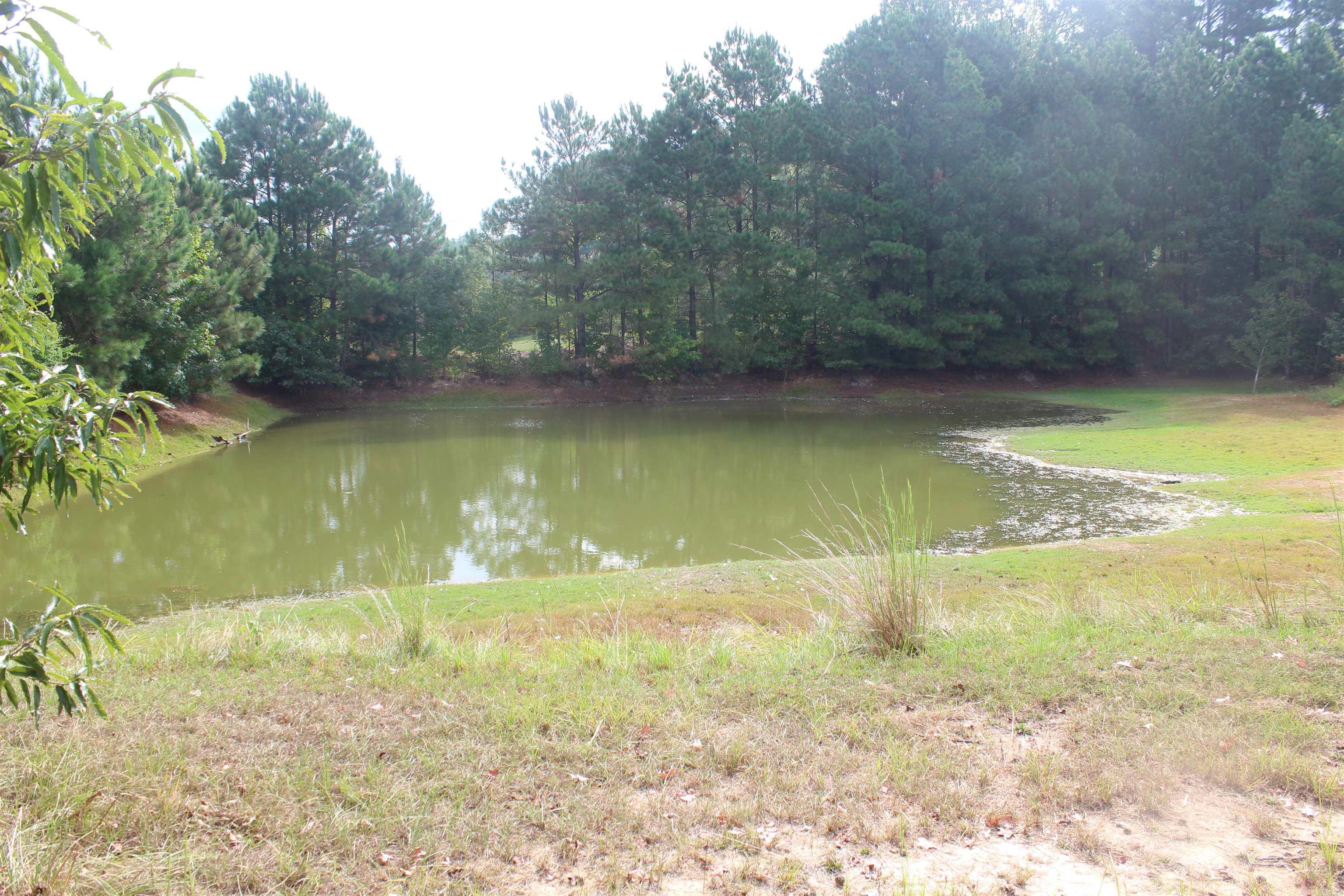 3296 hwy 278 E