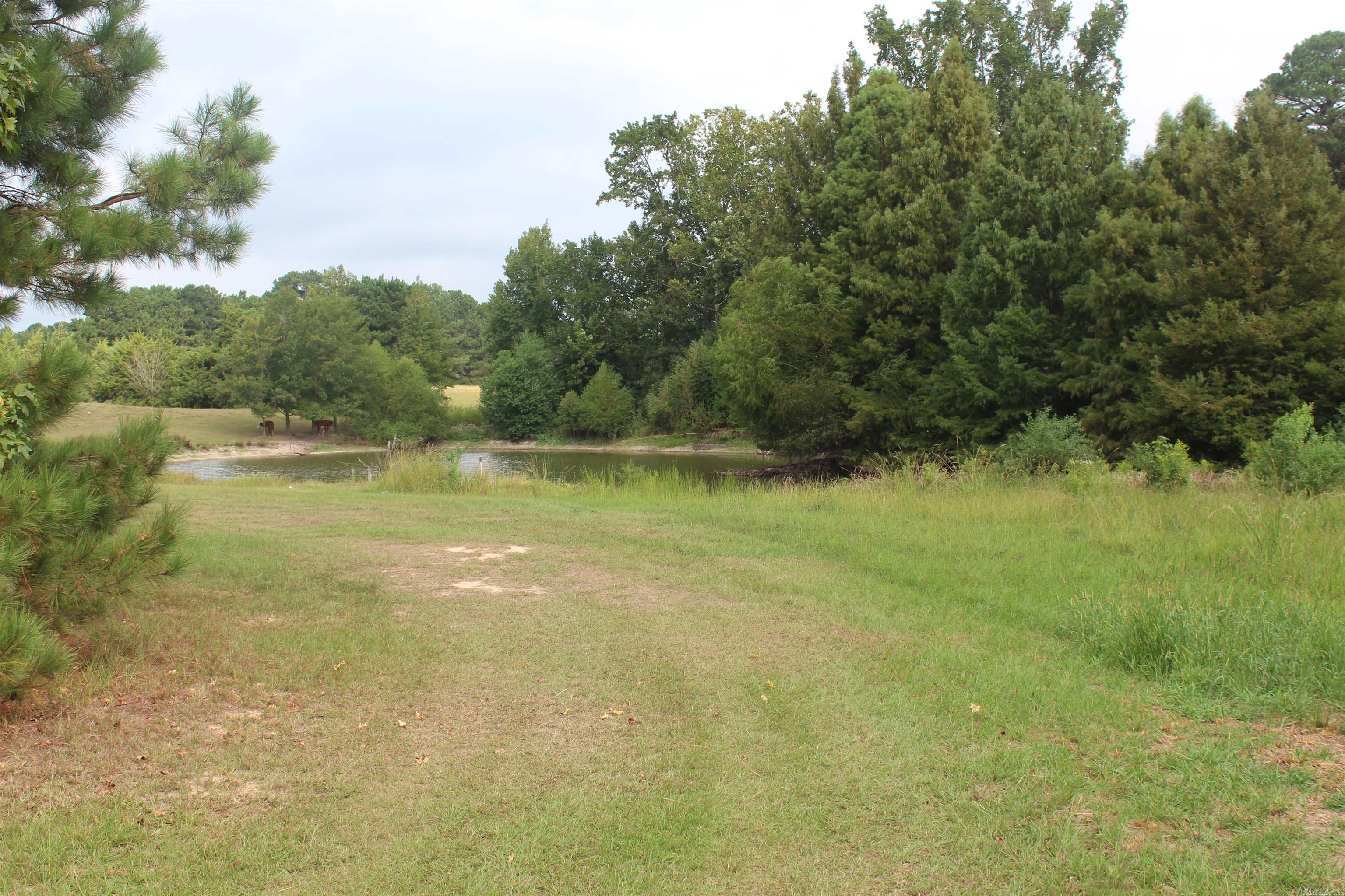 3296 hwy 278 E