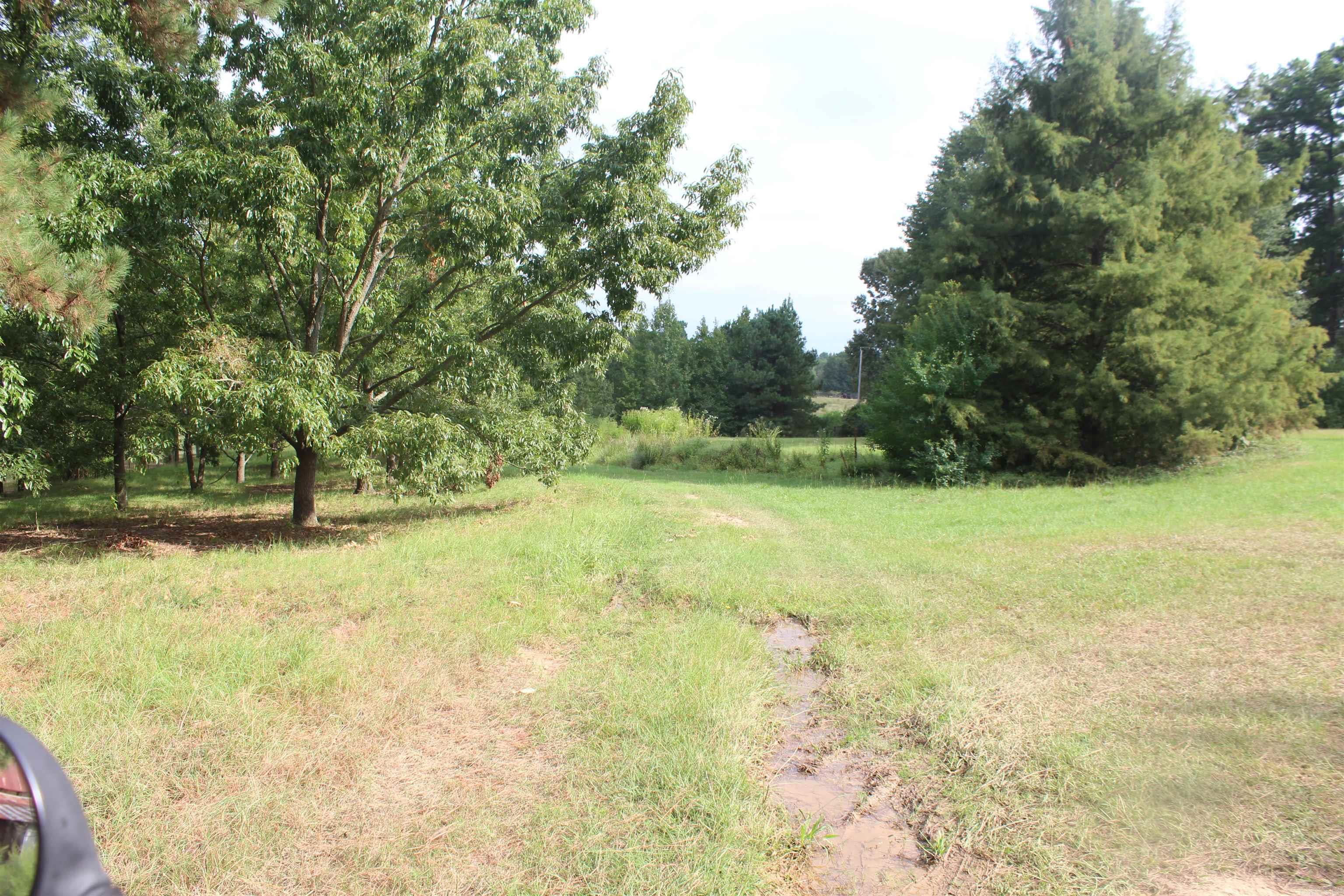 3296 hwy 278 E