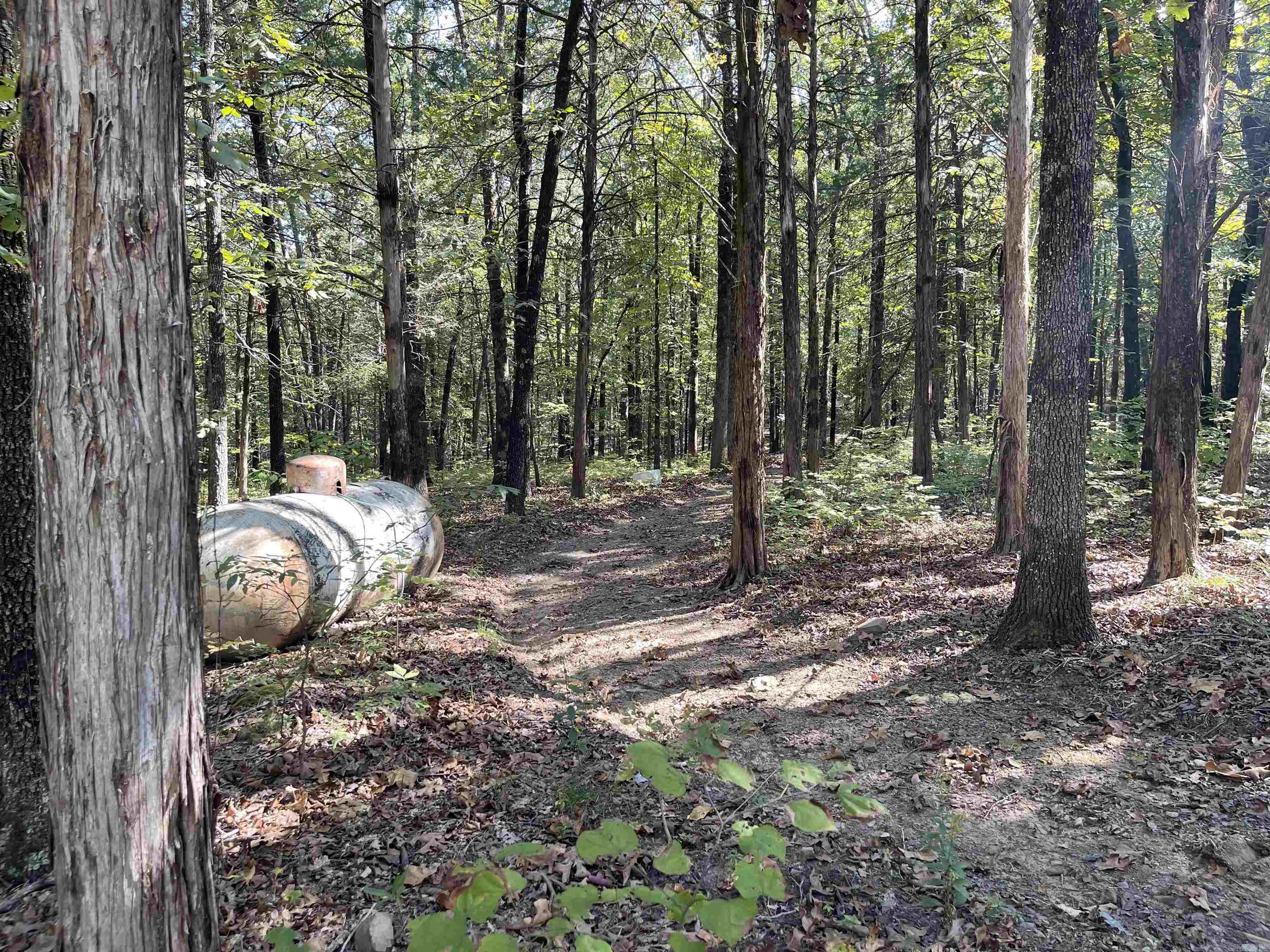 11 Timbercrest Drive