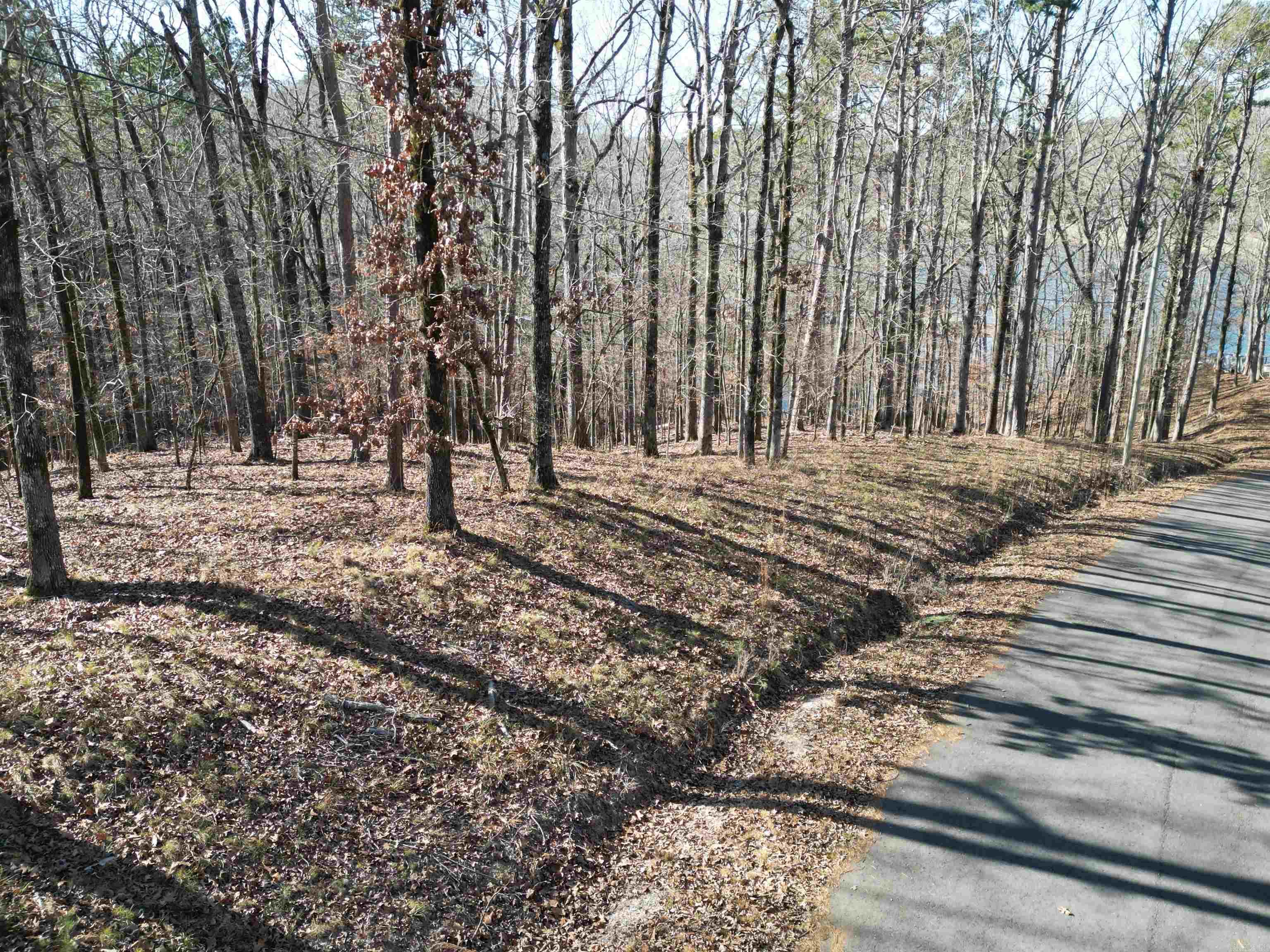 Lots 2989-2991 Ivy Hill Court