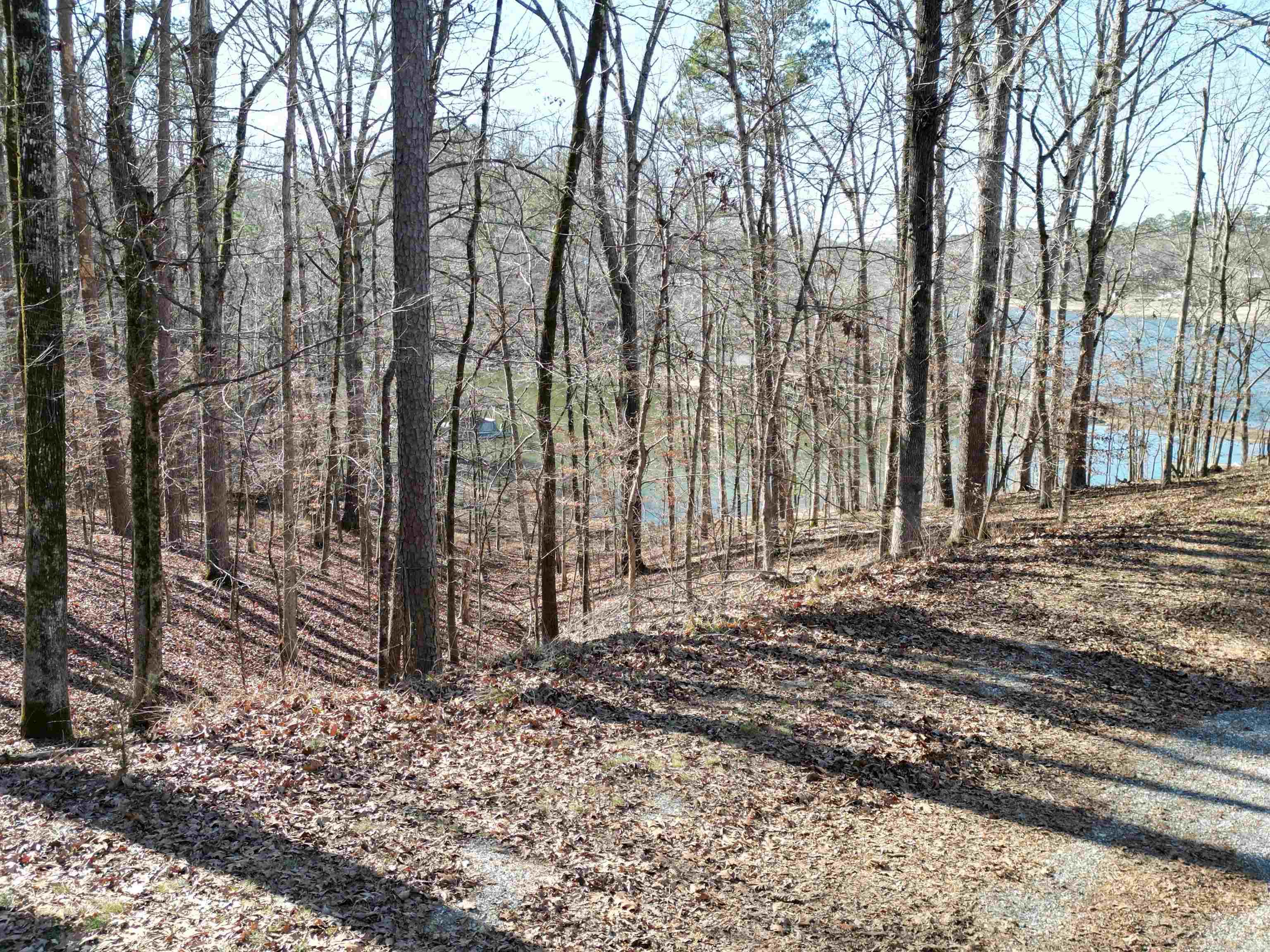 Lots 2989-2991 Ivy Hill Court
