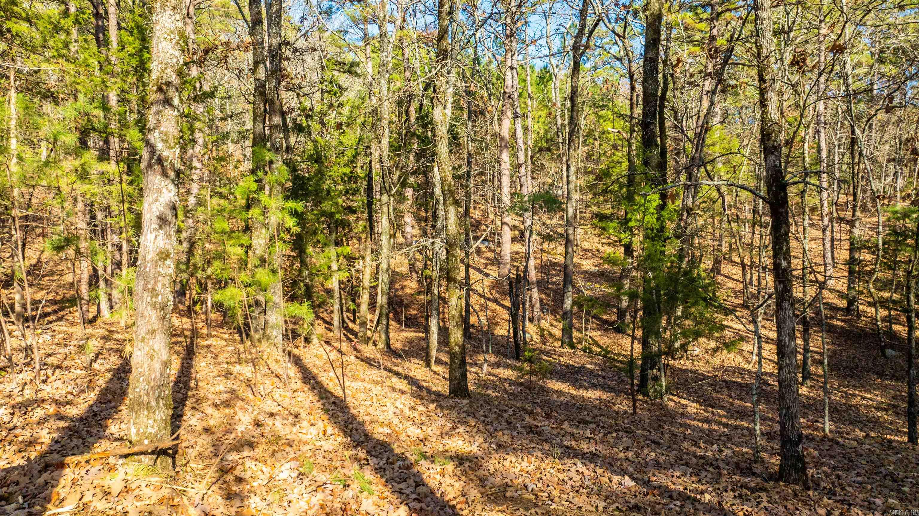 000 Miller Point (Lot 46) Drive