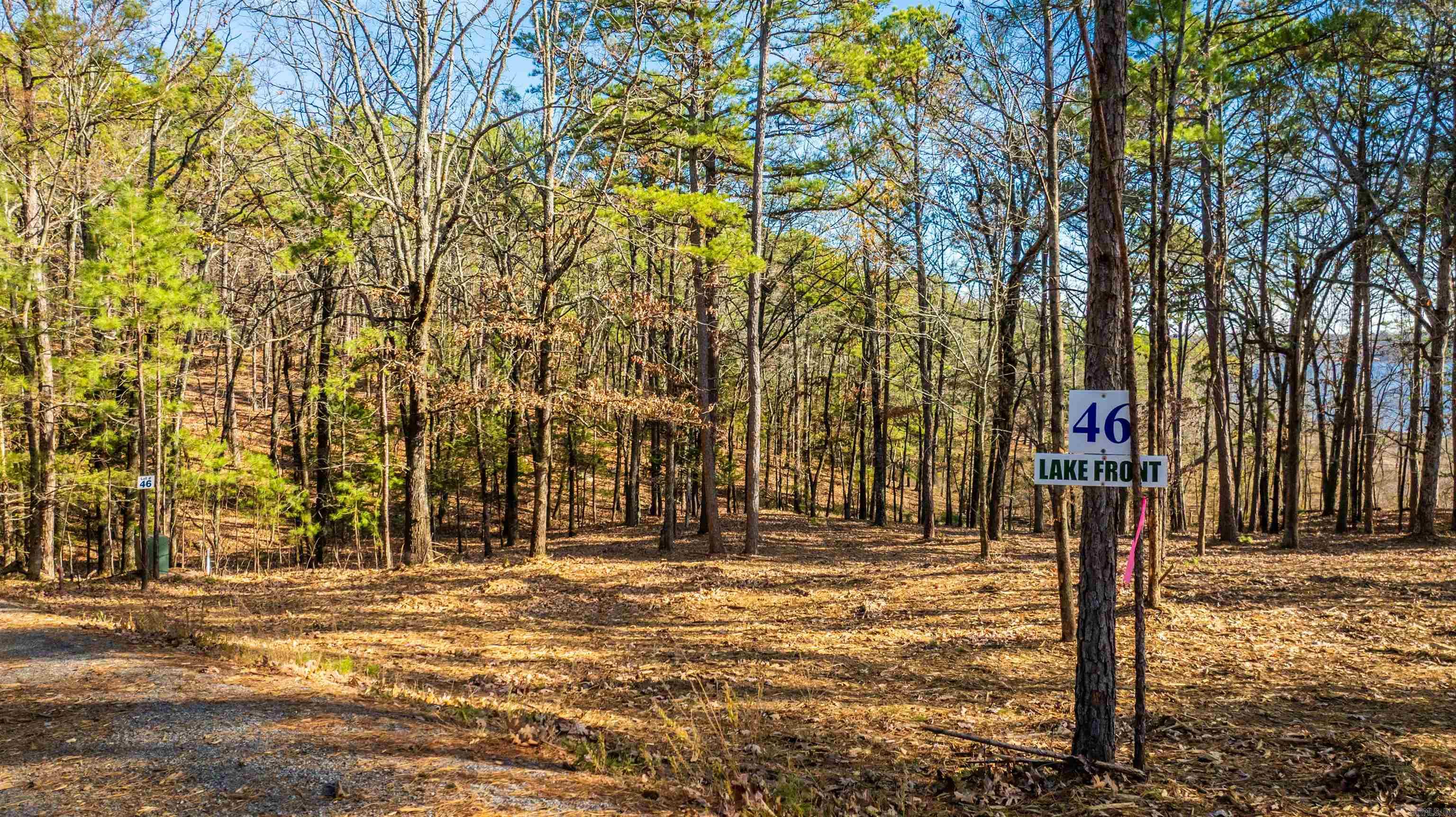 000 Miller Point (Lot 46) Drive