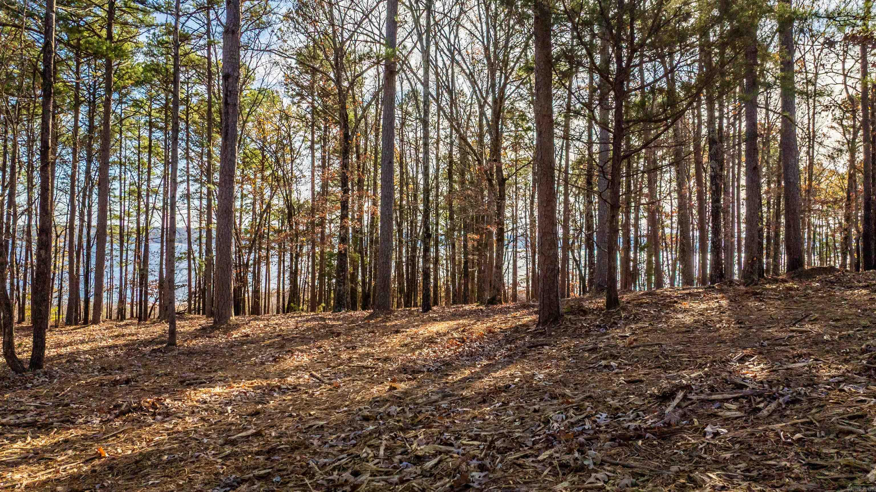 000 Miller Point (Lot 45) Drive