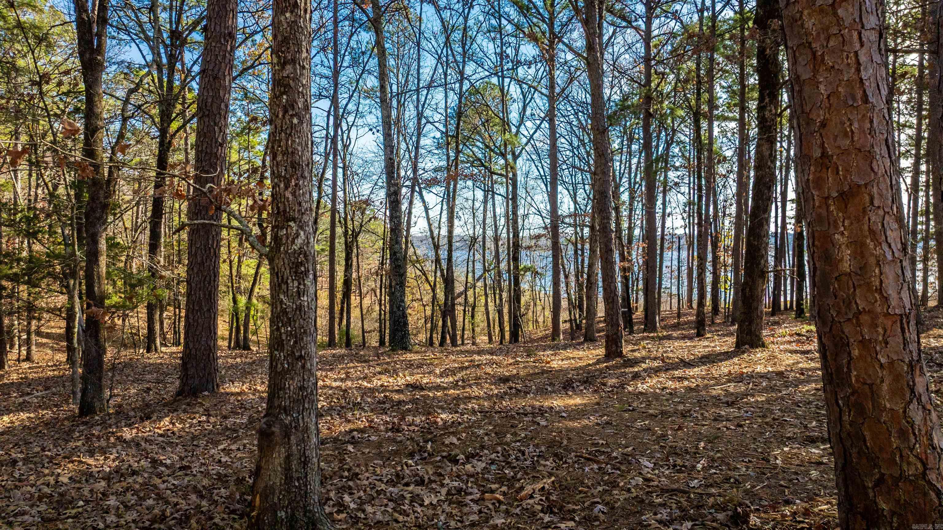 000 Miller Point (Lot 45) Drive