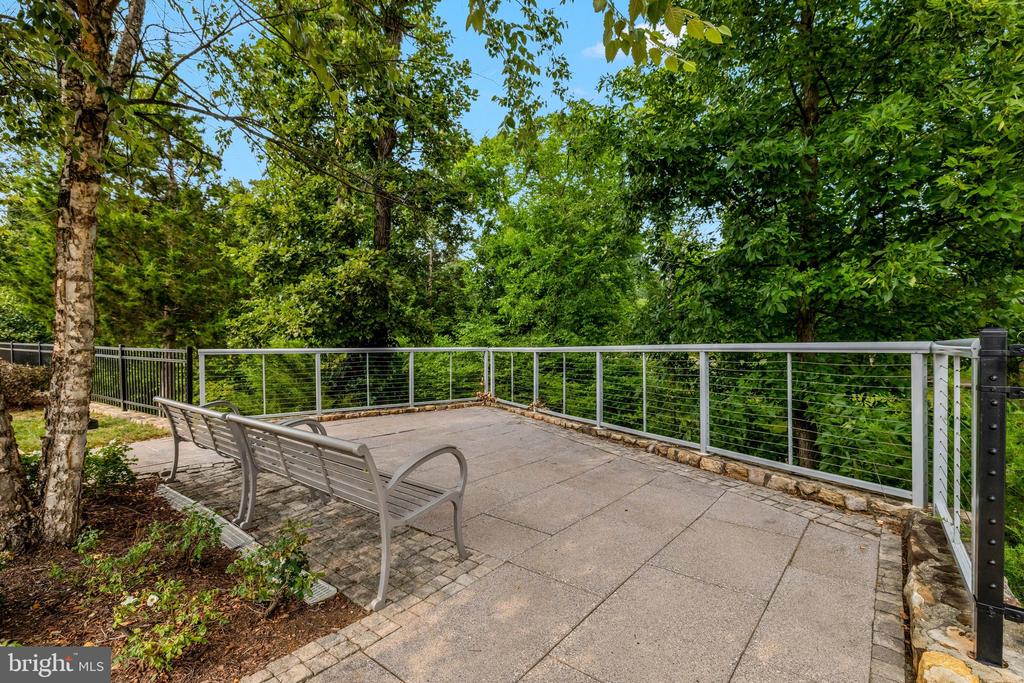 20405 SAVIN HILL DRIVE