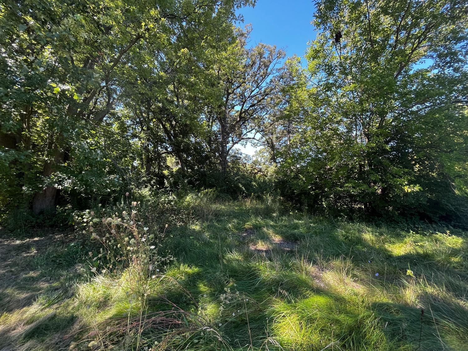 103 S State Road 231