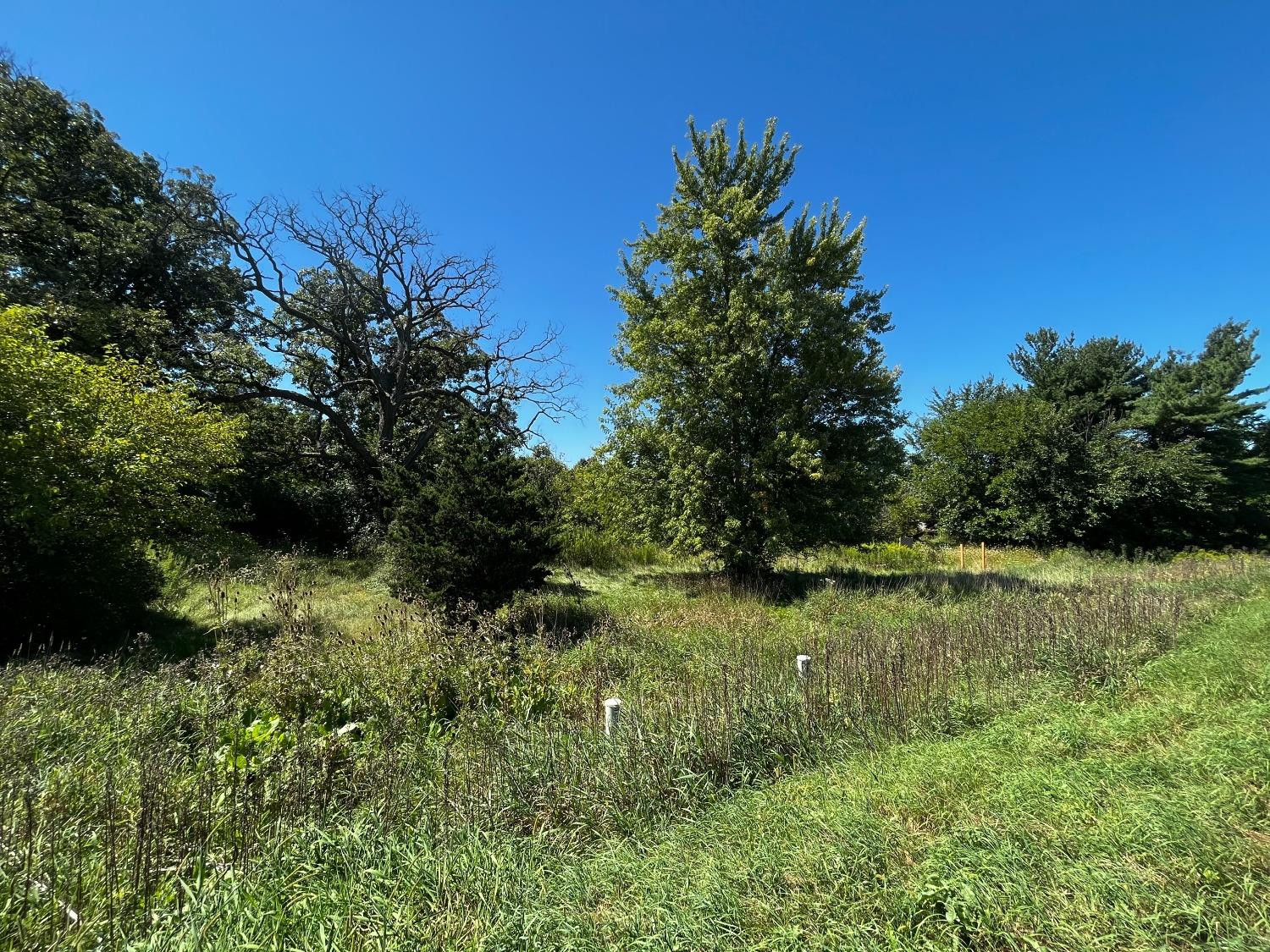 103 S State Road 231