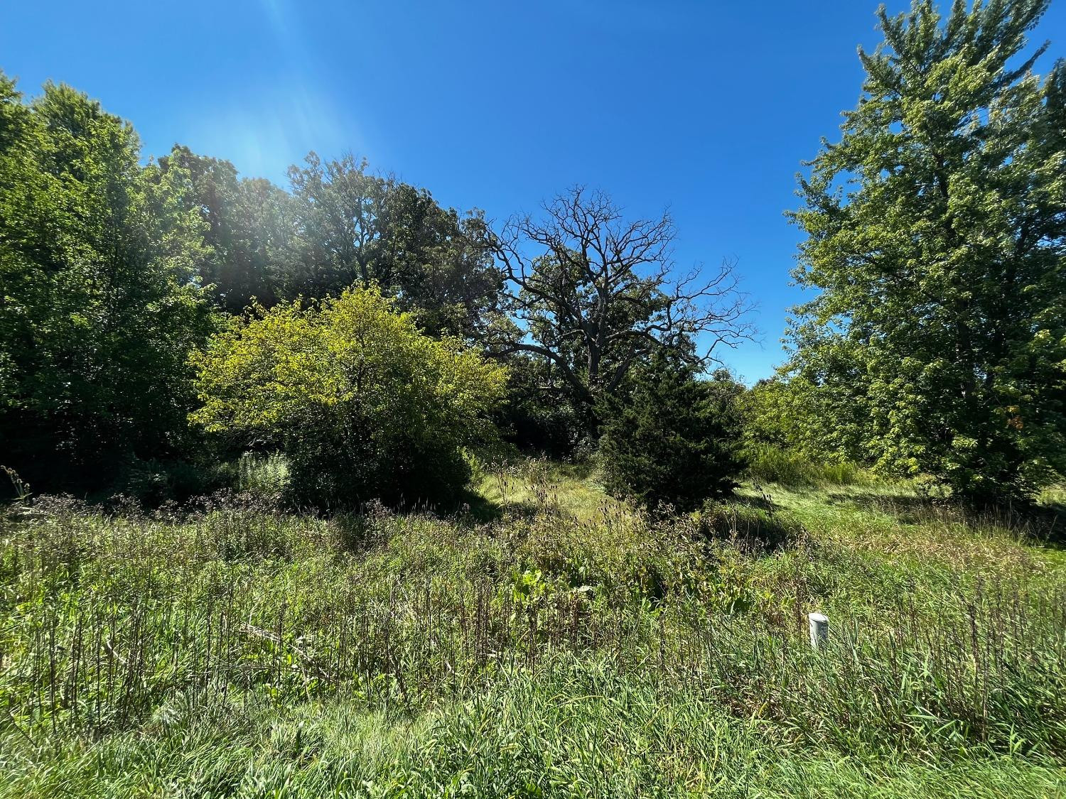 103 S State Road 231