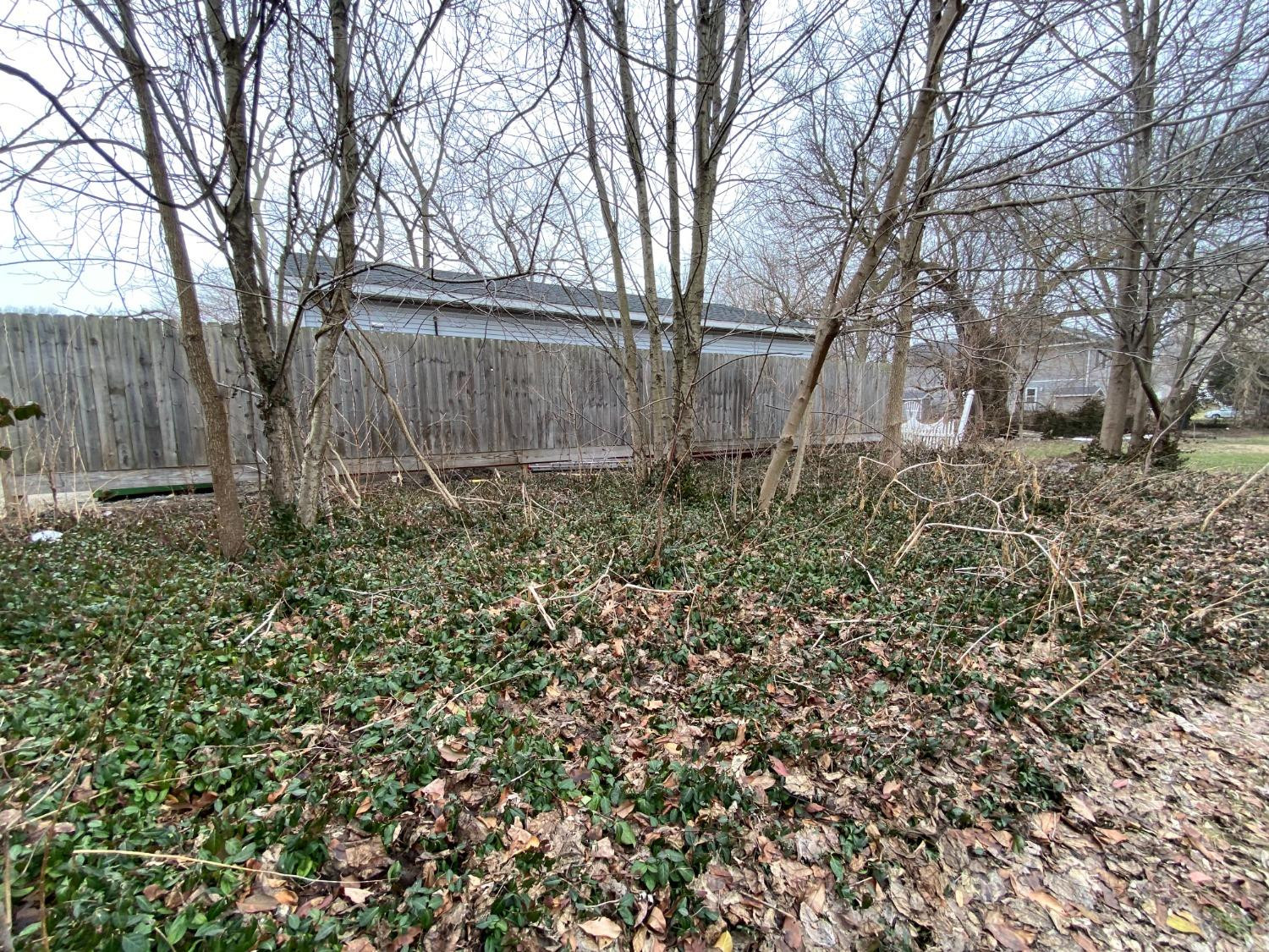 323 Willard Avenue