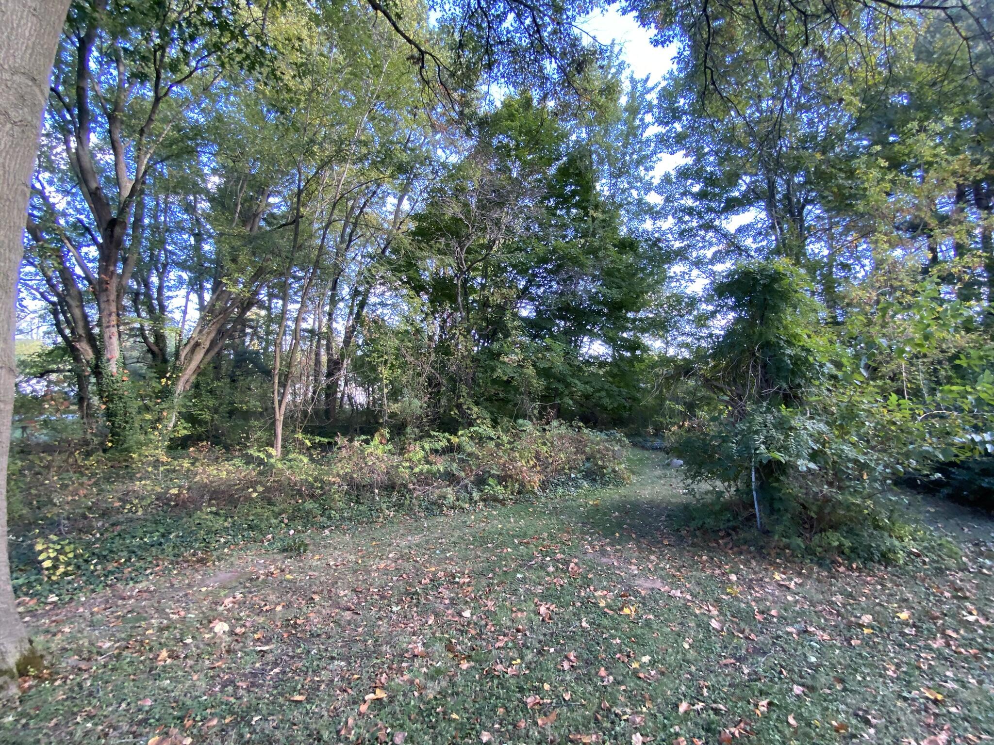 2702 Maplewood Avenue