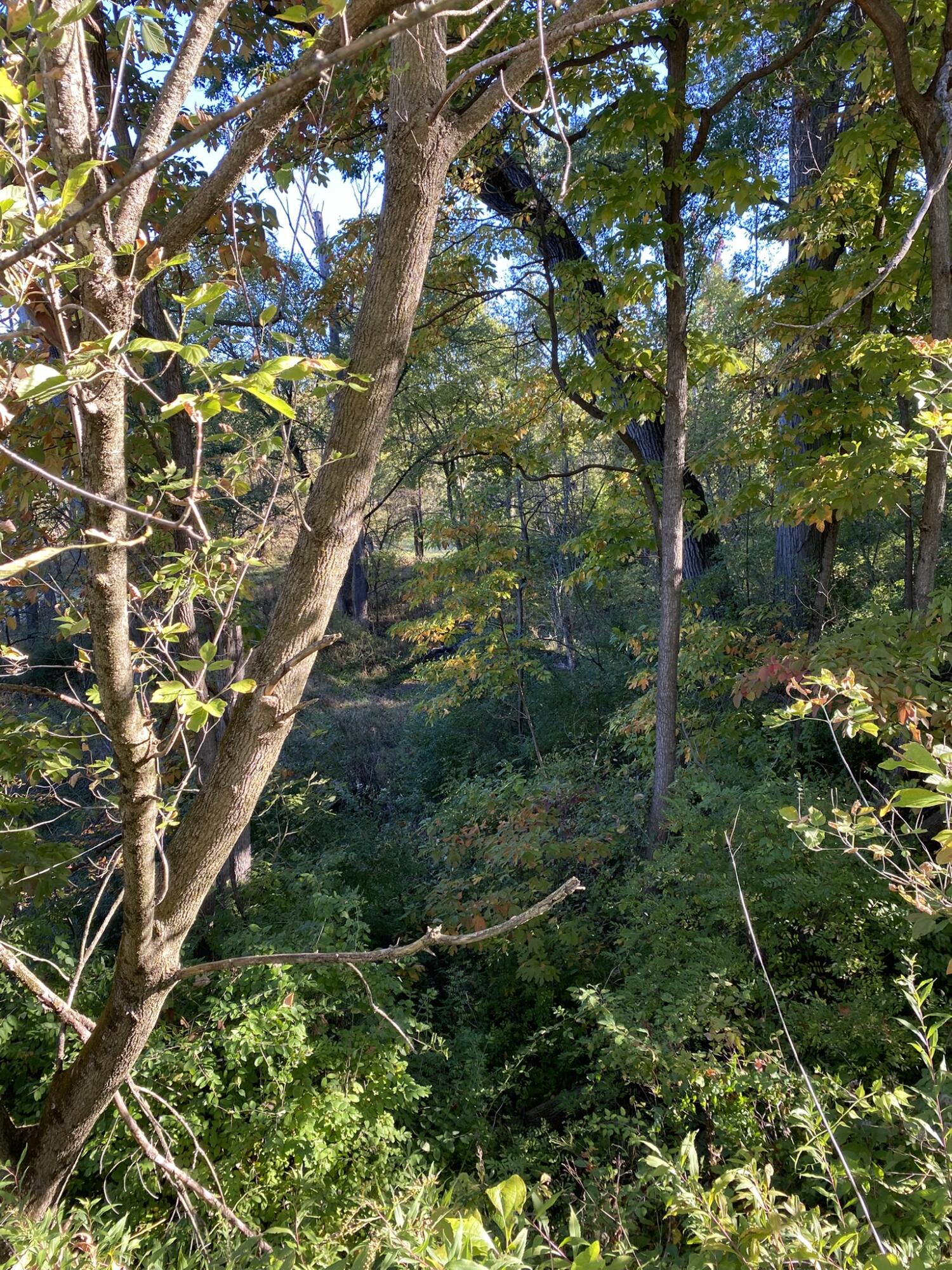 Tbd- 60.04 Creasy Street