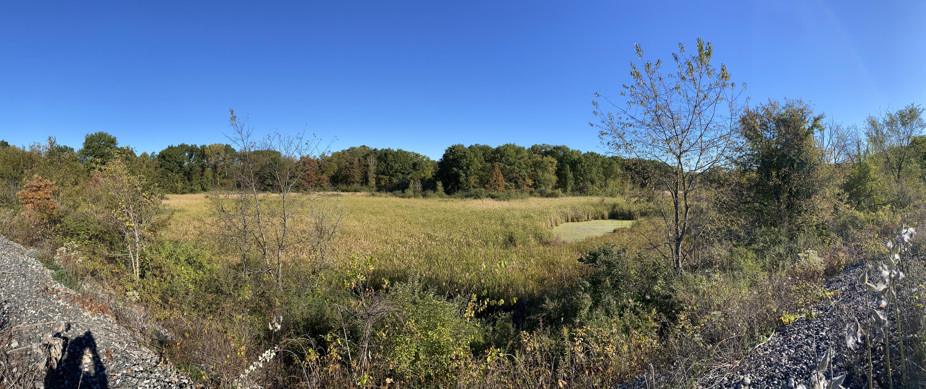 Tbd- 60.04 Creasy Street