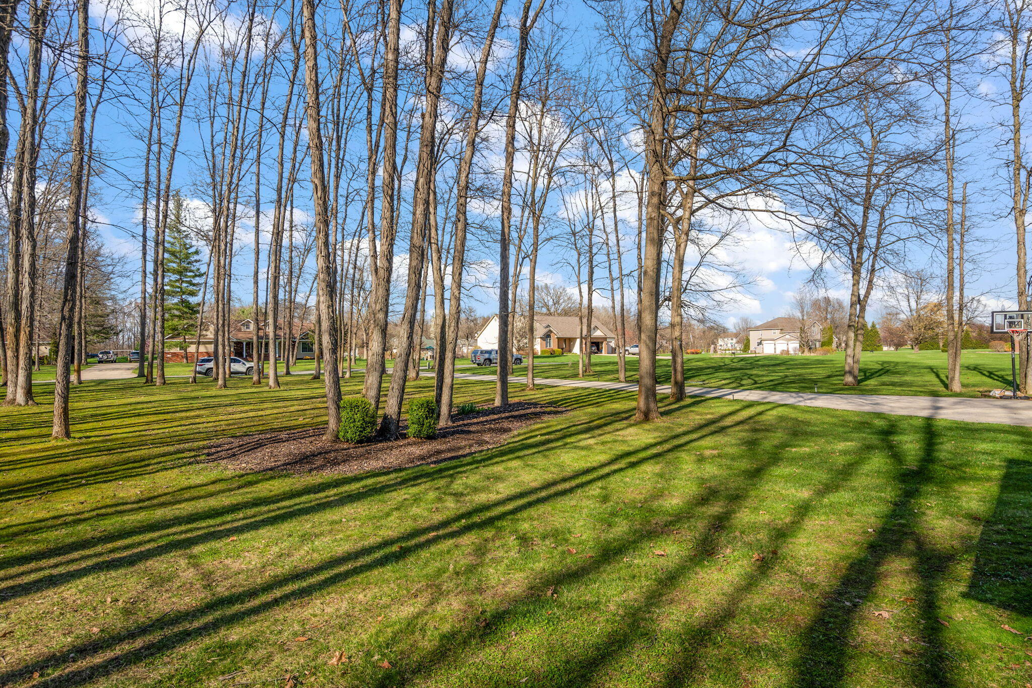 228 W Papillon Drive