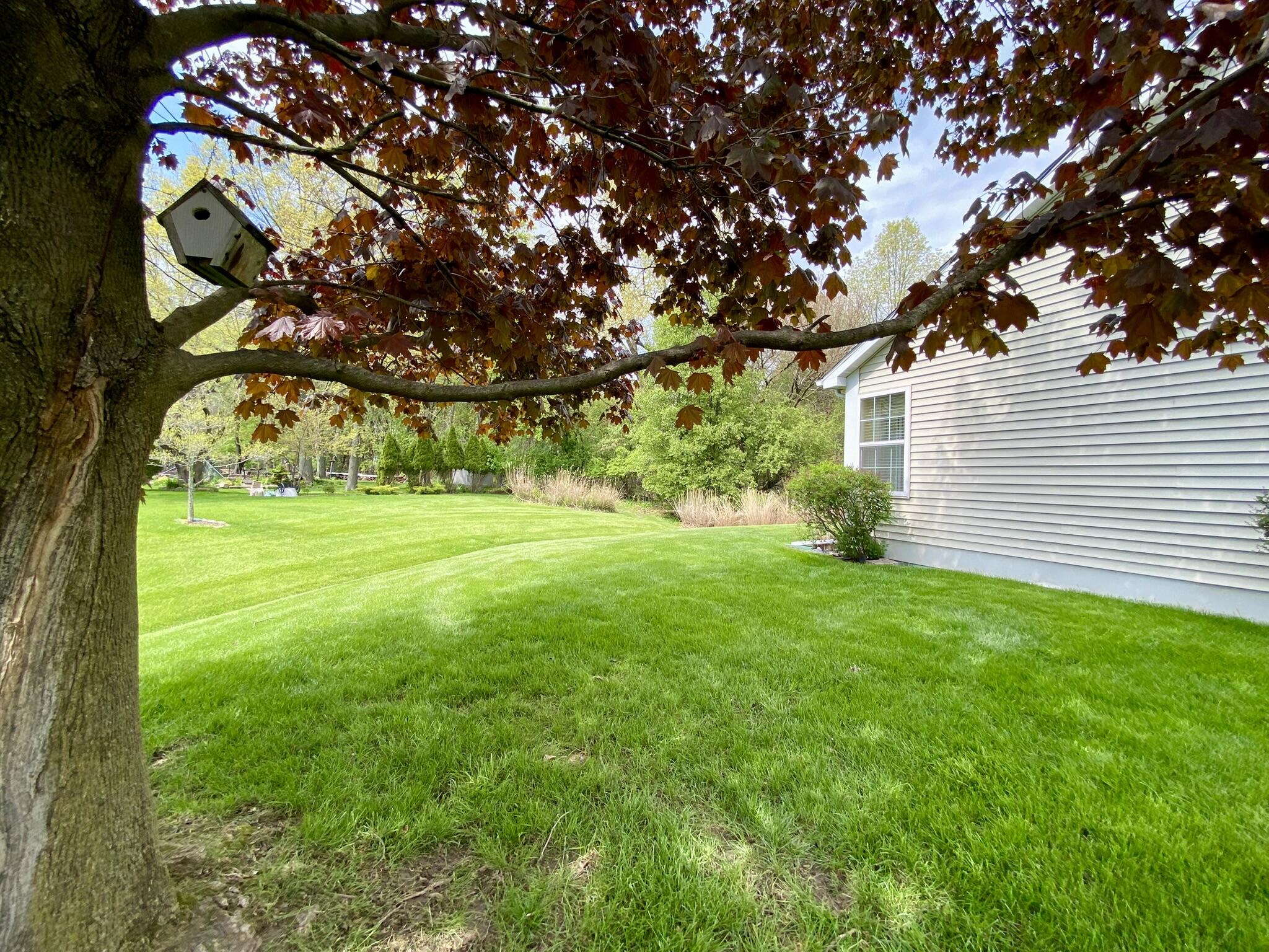 3301 Milestone Creek Court
