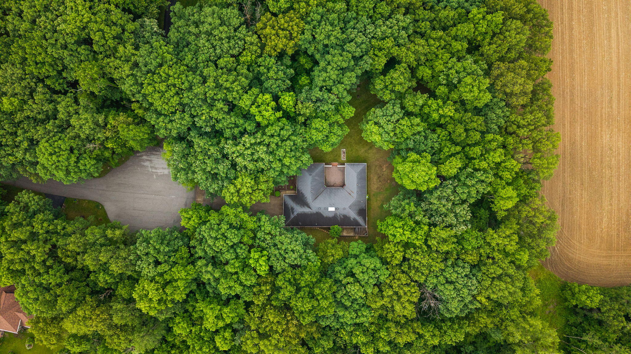130 Woodland Hickory Court