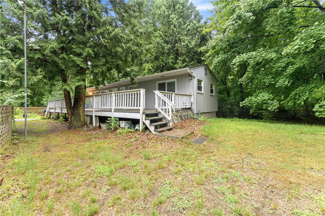 41 Shirley Street