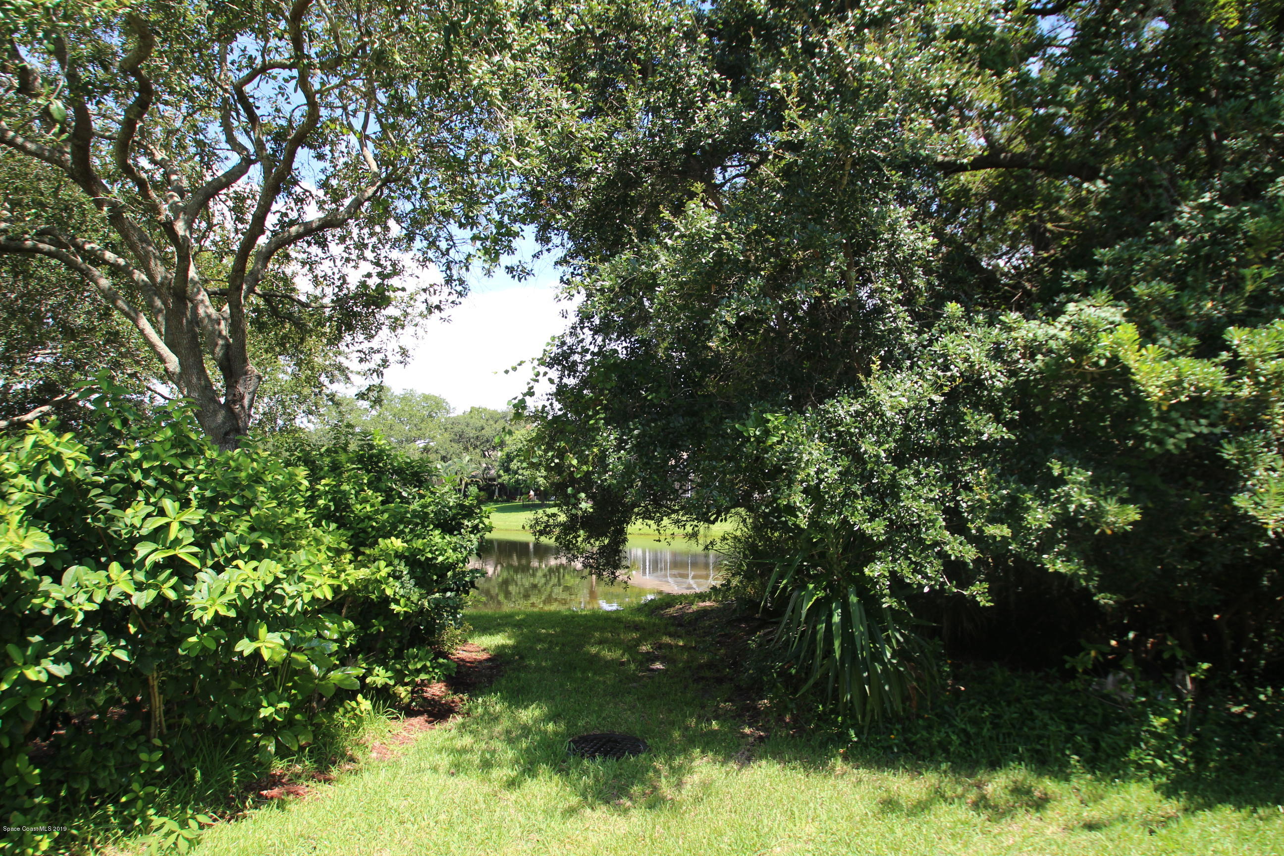 1143 Spring Oak Drive