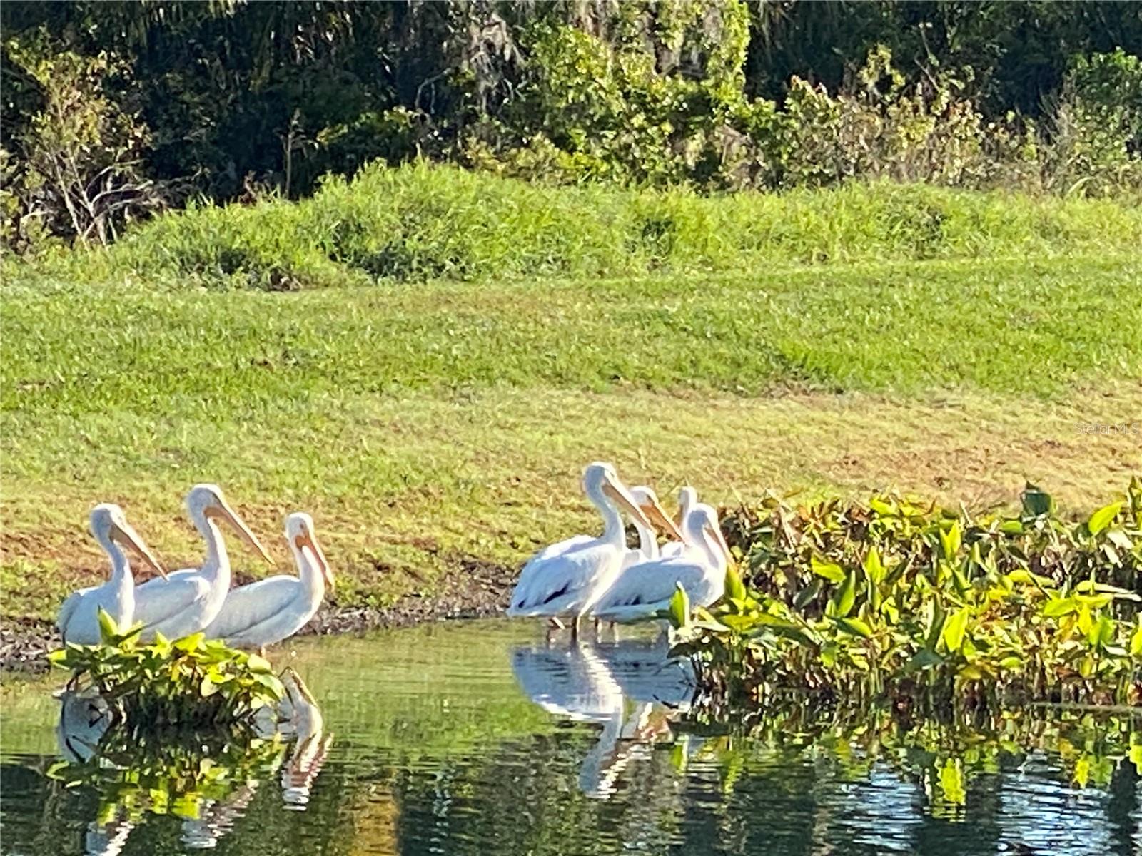 12348 CEDAR PASS TRL