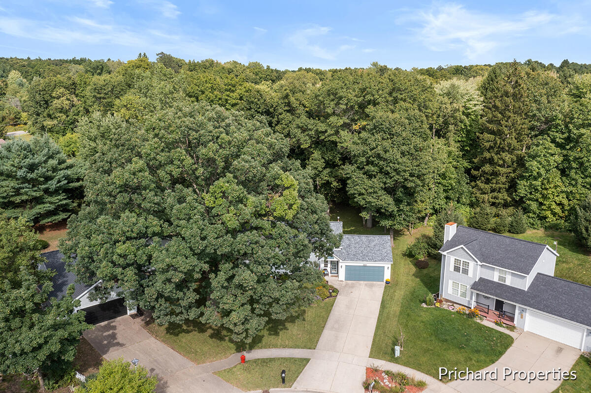 1441 Hollow Ridge Drive NE