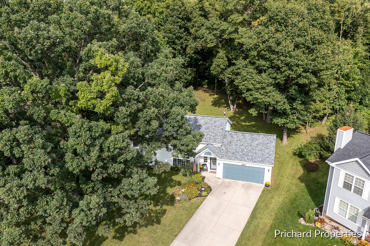 1441 Hollow Ridge Drive NE