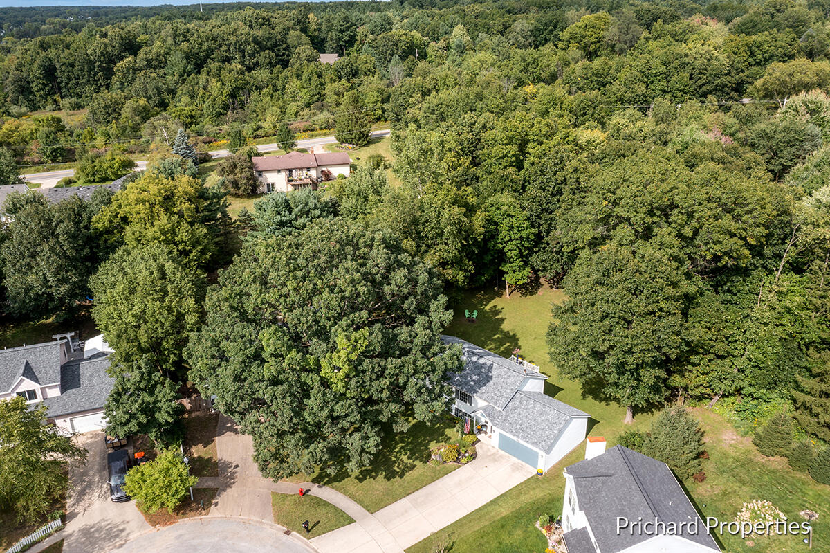 1441 Hollow Ridge Drive NE