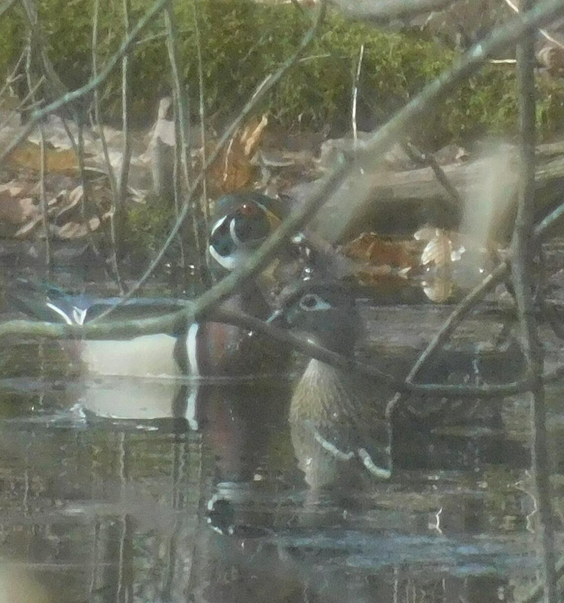 10050 Walander Street NE