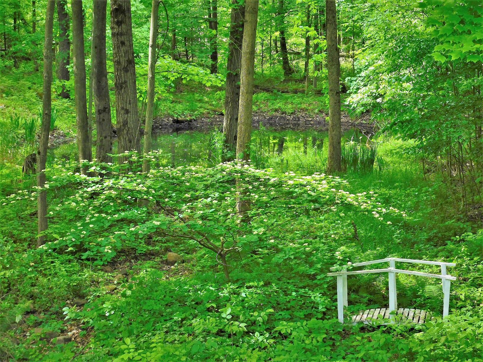 10050 Walander Street NE