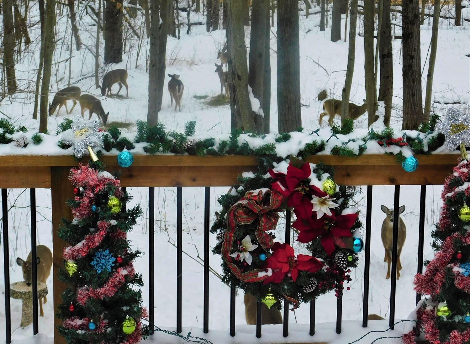 10050 Walander Street NE