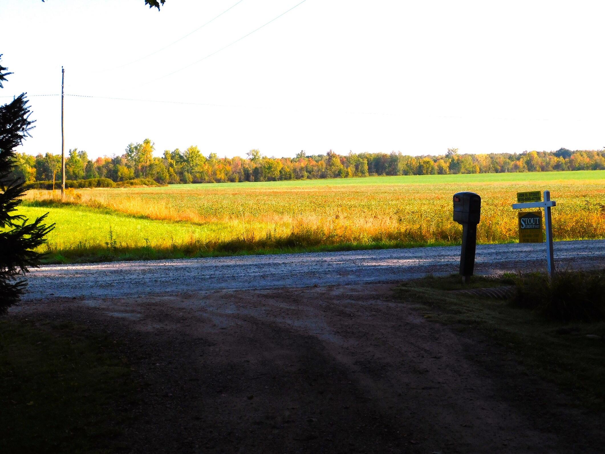 10050 Walander Street NE