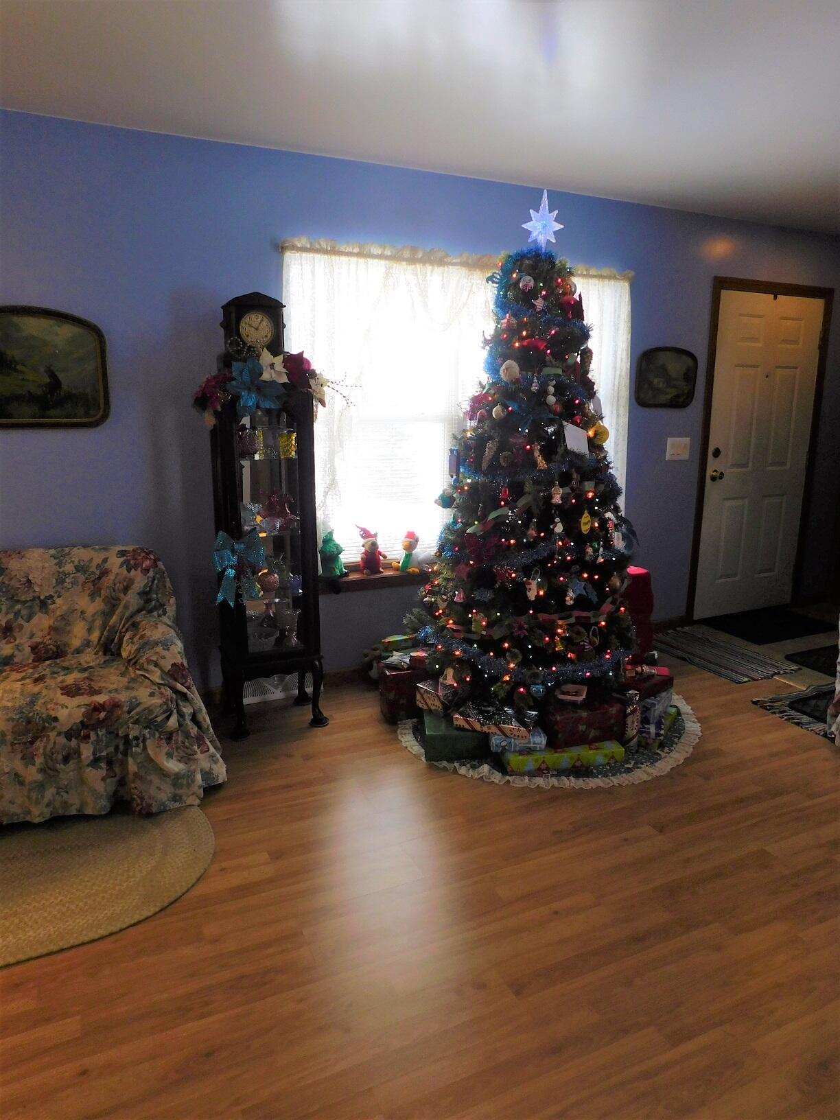 10050 Walander Street NE