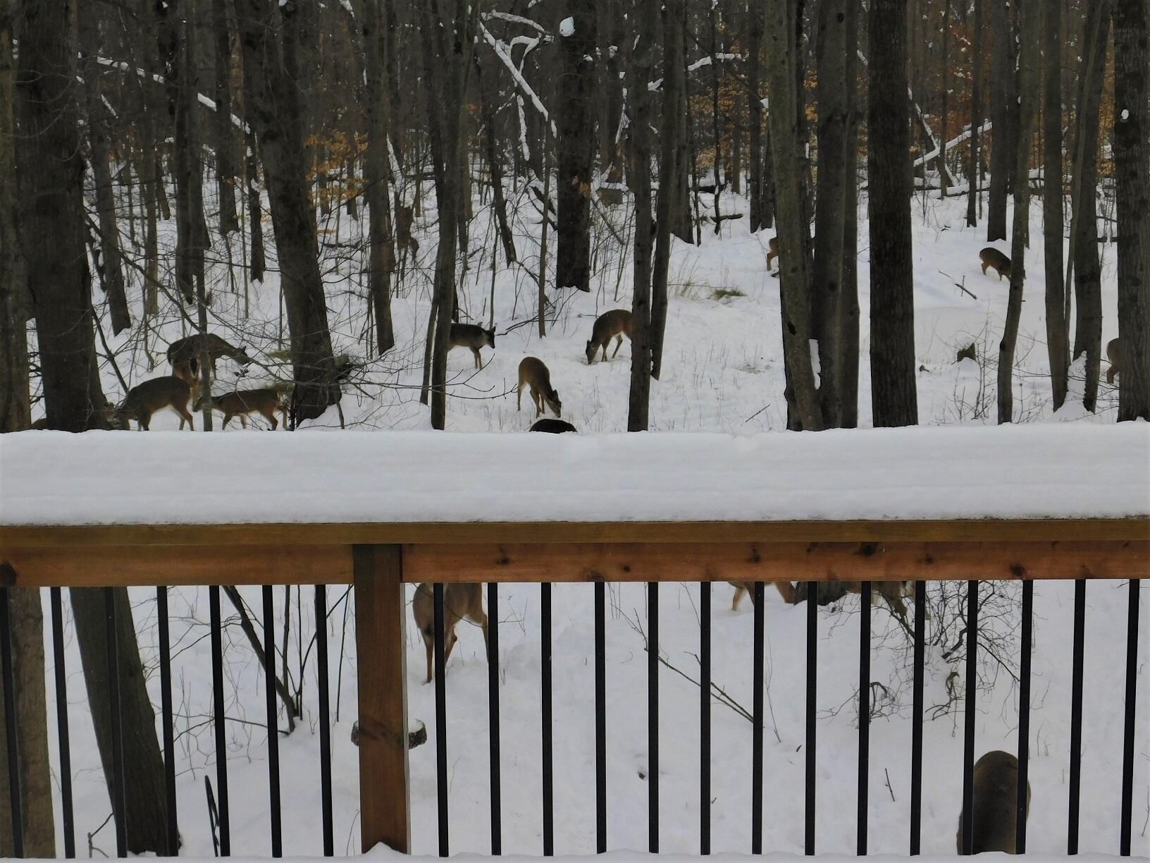 10050 Walander Street NE