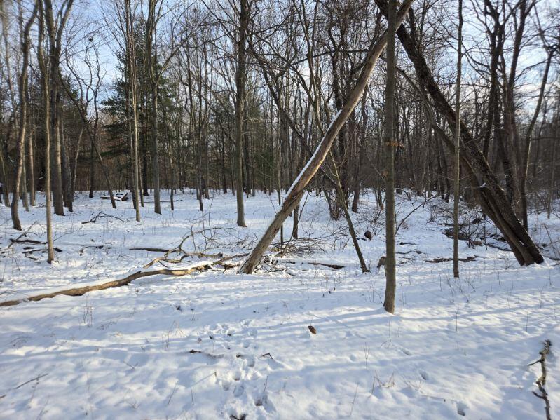 70386 M 43 Street, Lot C