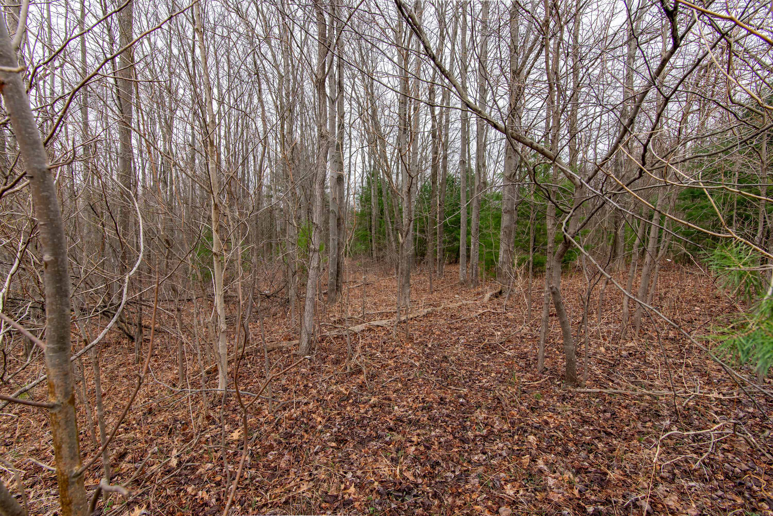 70386 M 43 Street, Lot C