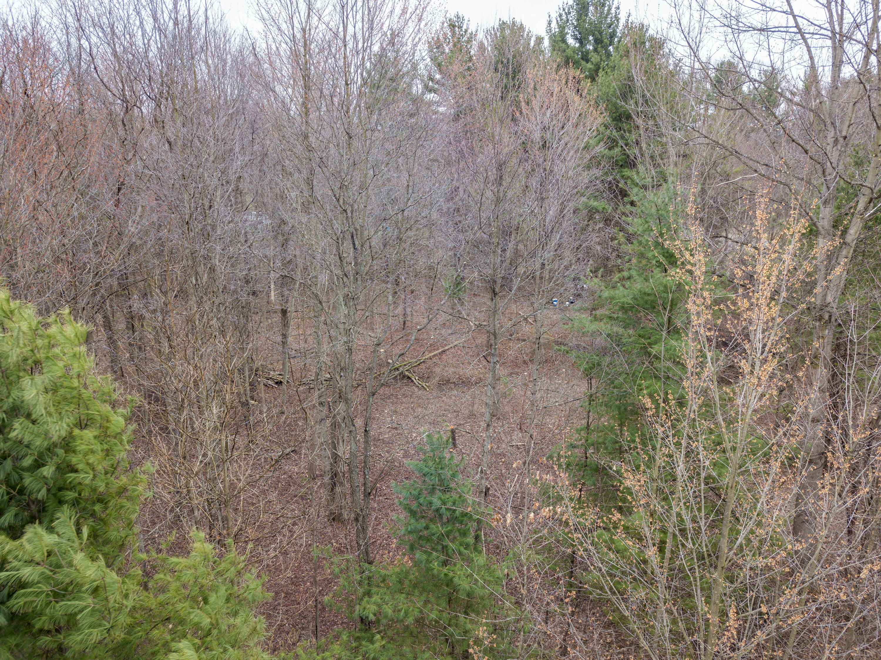 70386 M 43 Street, Lot C