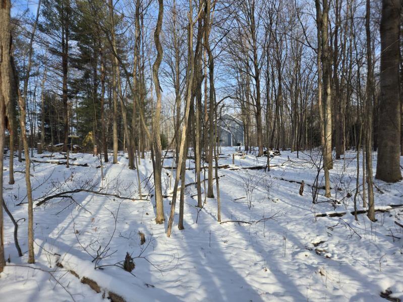 70386 M 43 Street, Lot C