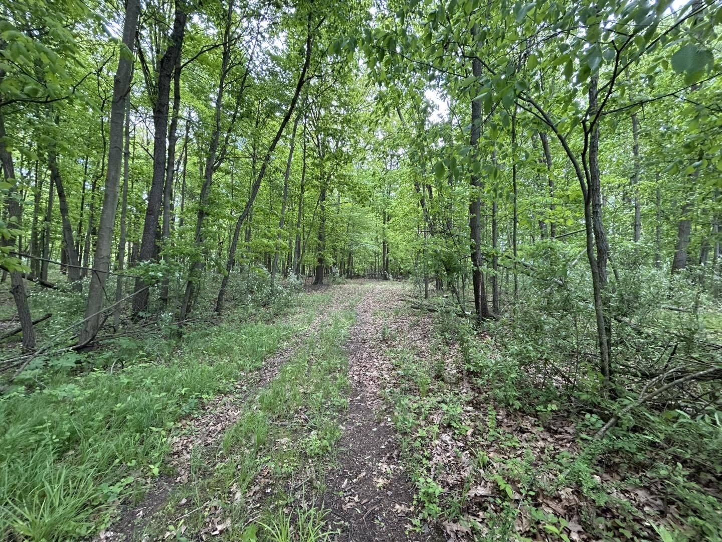 V/L Half Moon Lake Road