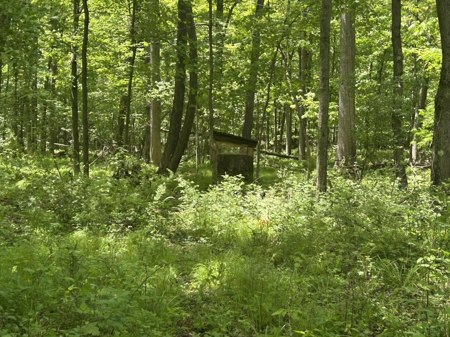 V/L Half Moon Lake Road