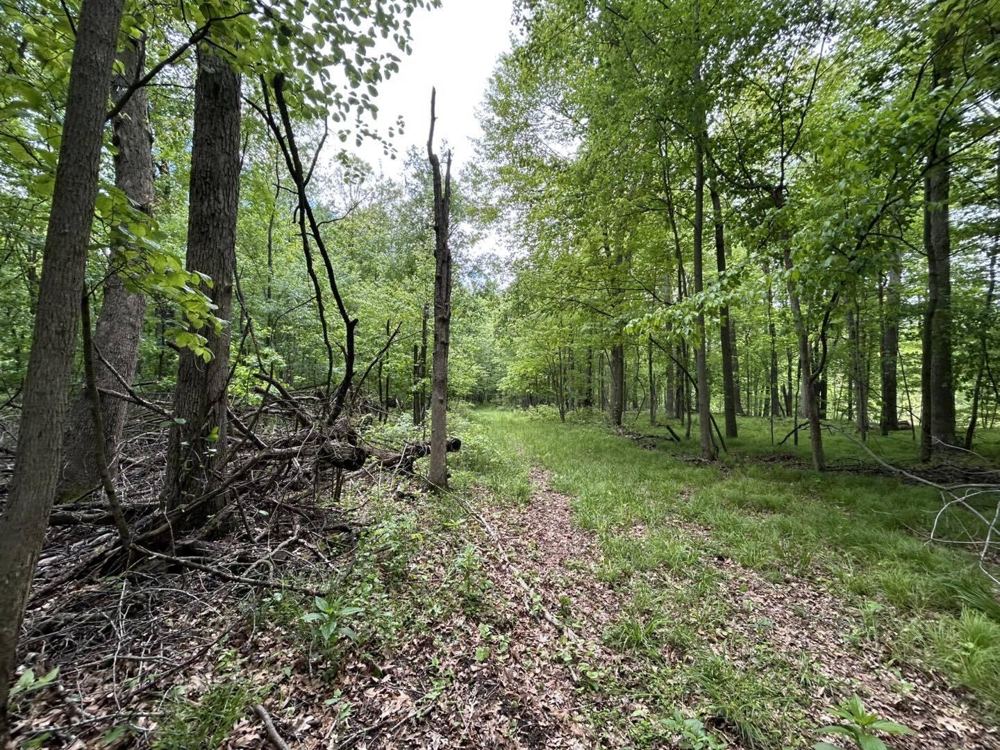 V/L Half Moon Lake Road