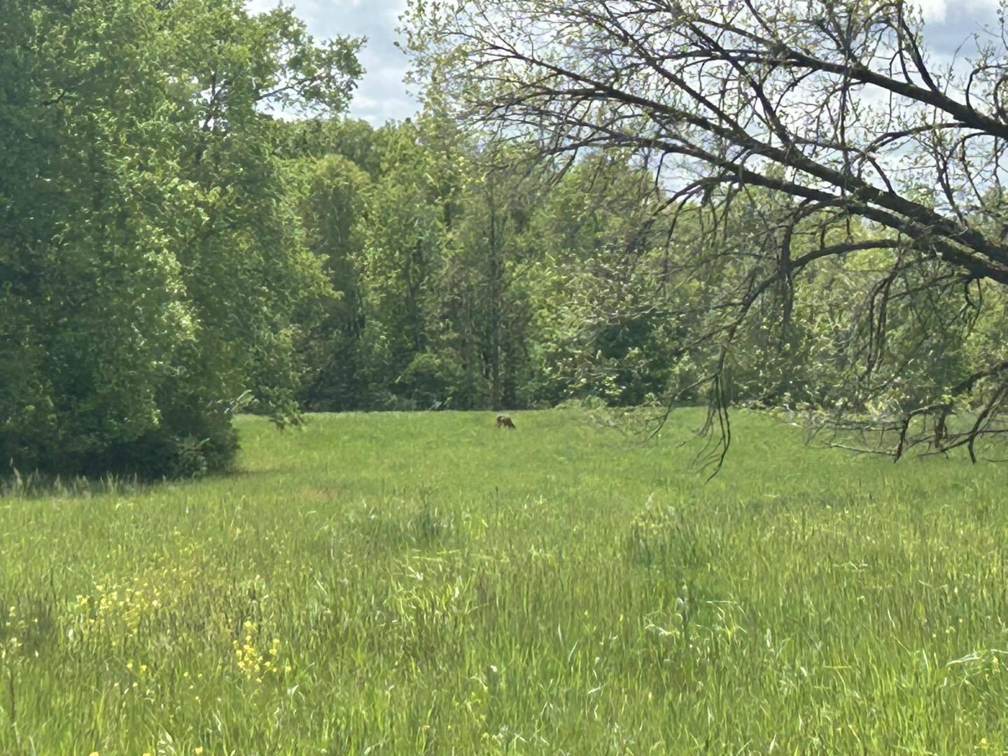 V/L Half Moon Lake Road