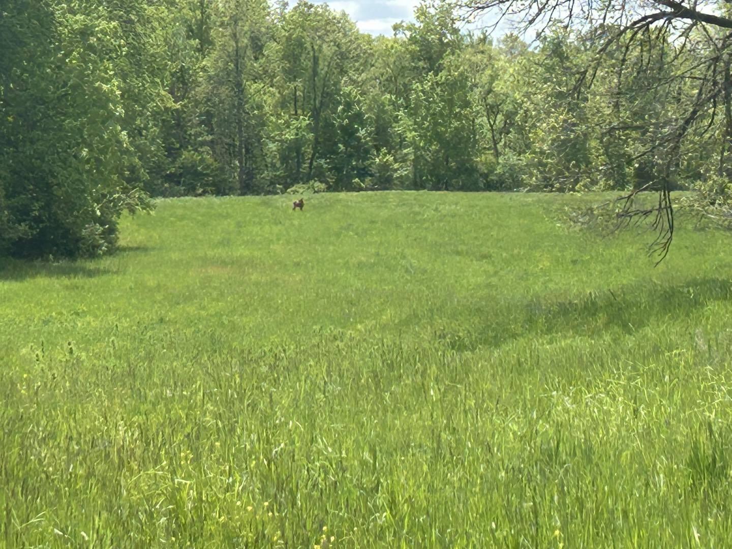 V/L Half Moon Lake Road