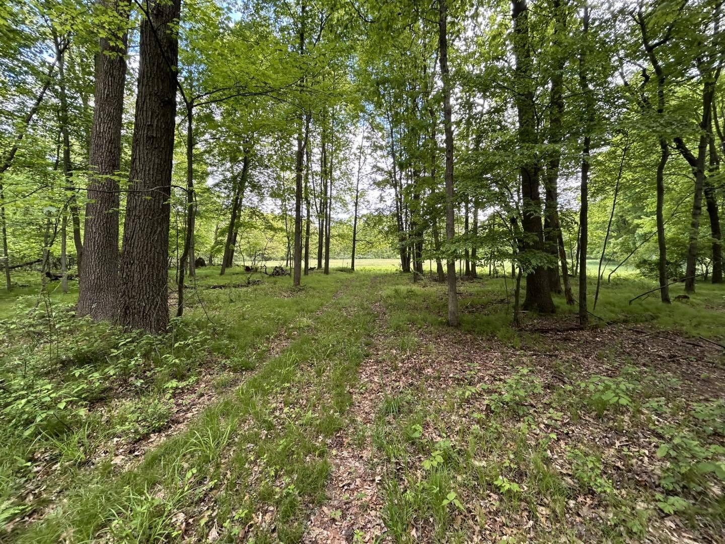 V/L Half Moon Lake Road